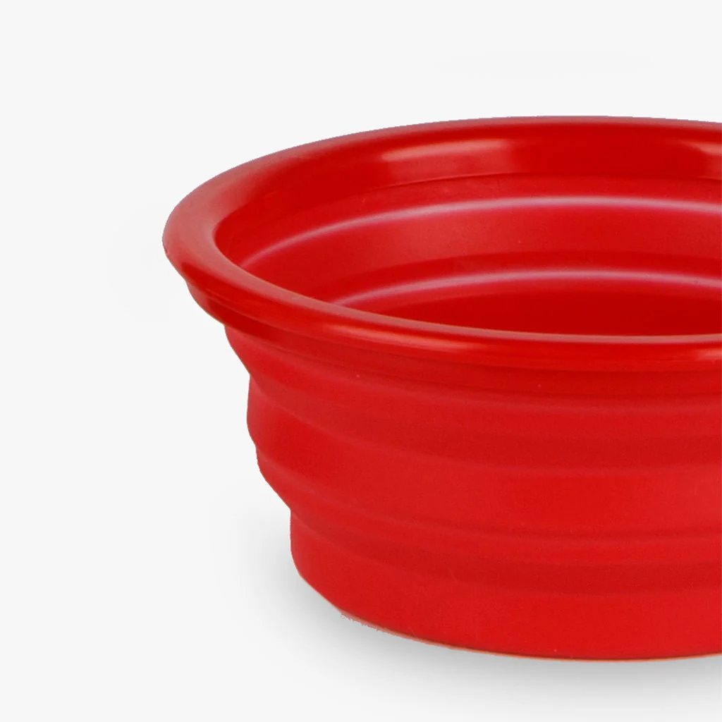 Garrafa com Bebedouro para Animal PAWRENTS - Image 5