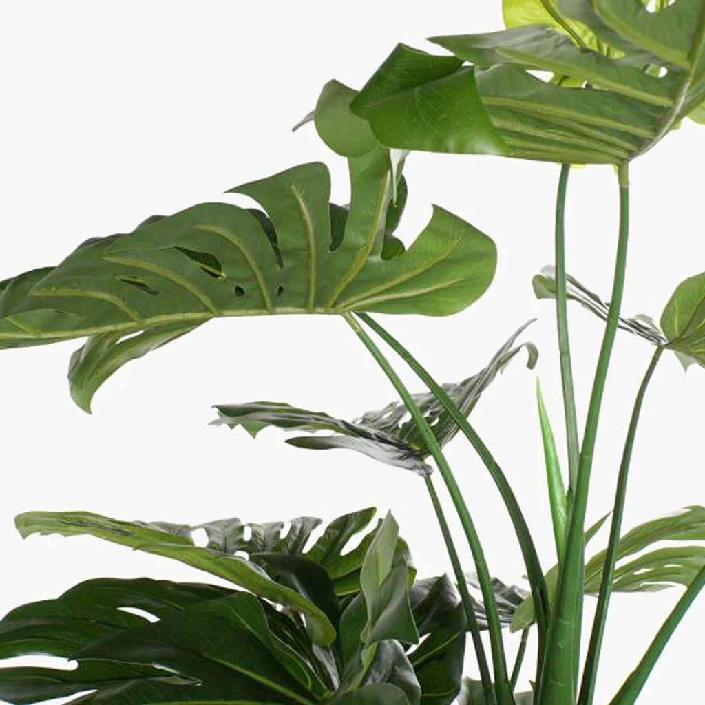 Planta Costela de Adão 200cm EVERLEAF - Image 3