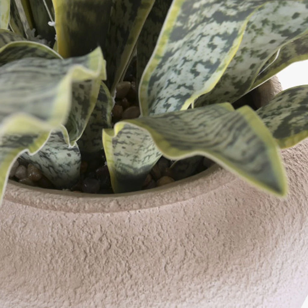 Vaso Sansevieria 60x60x100 - Image 2